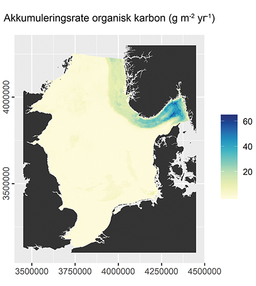 Figur 2.12 Estimert akkumulering per år av organisk karbon på havbotnen i Nordsjøen og Skagerrak. Akkumuleringa er høgast i Norskerenna, men det er uvisse i dei modellerte tala for mengda karbon som blir avsette på havbotnen.
