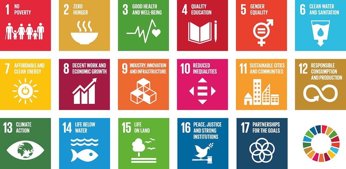 Illustration showing the icons for all 17 SDG goals