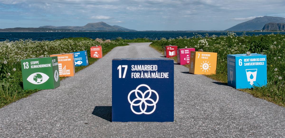 Picture of SDG building blocks spread across a country road.