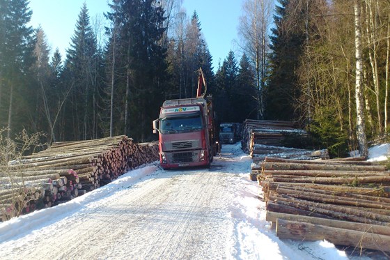 Tømmerbil på skogsbilvei.  