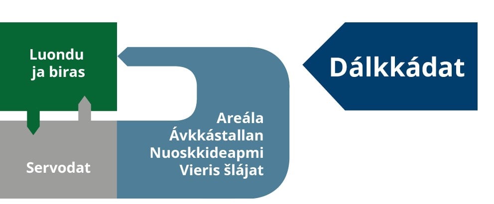 Grafisk fremstilling av figur