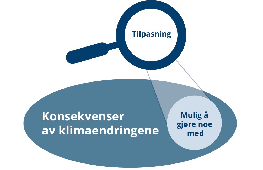 Grafisk fremstilling av figur
