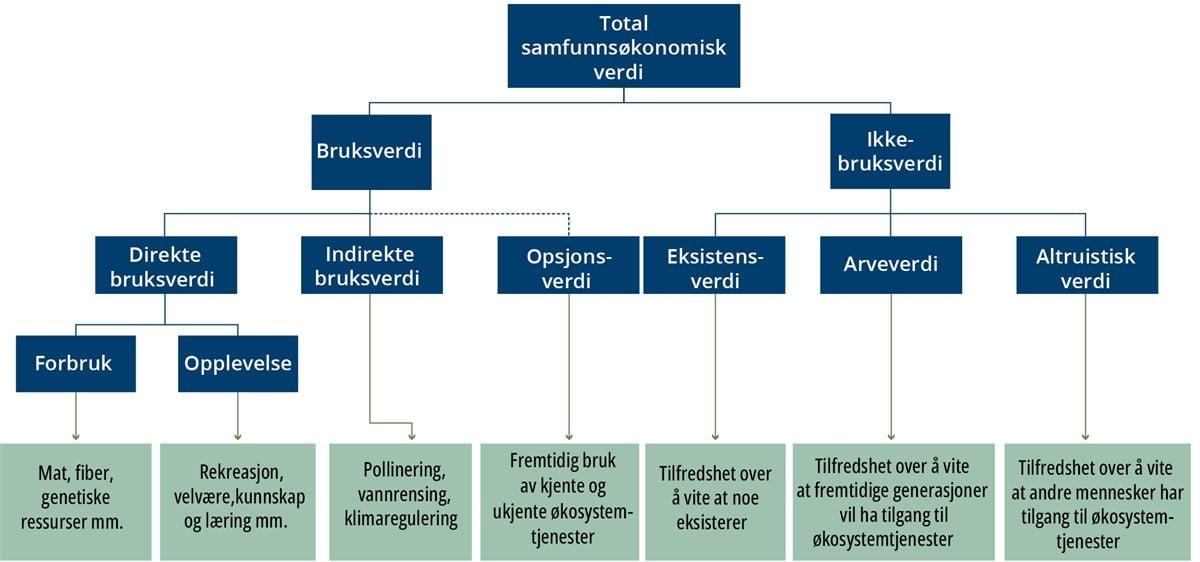 Grafisk fremstilling av figur - flytskjema