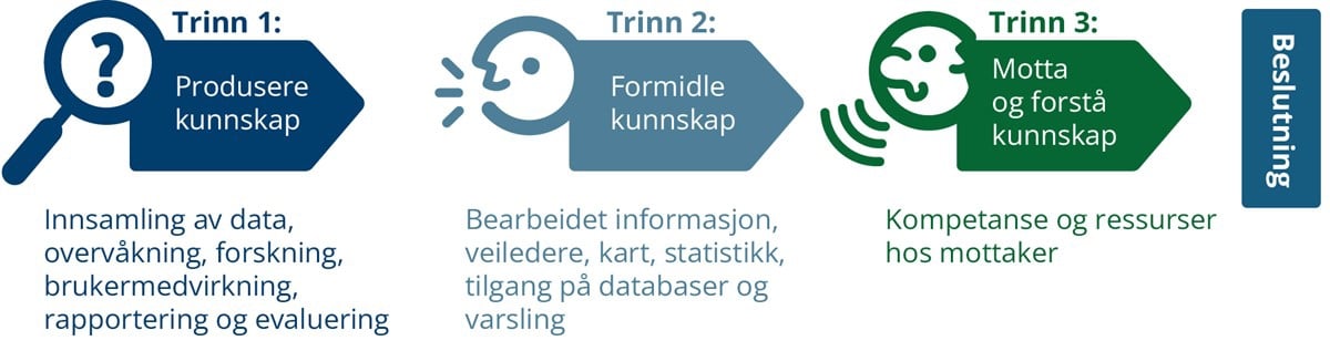 Grafisk fremstilling av figur - flytskjema