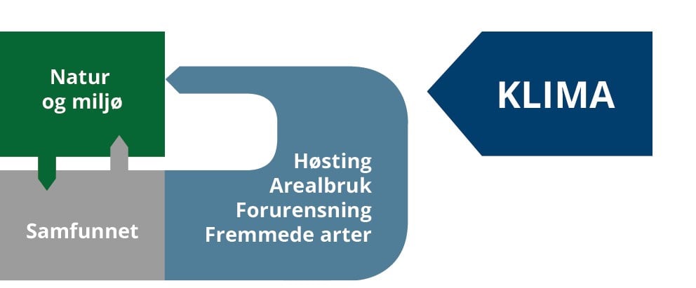 Grafisk fremstilling av figur