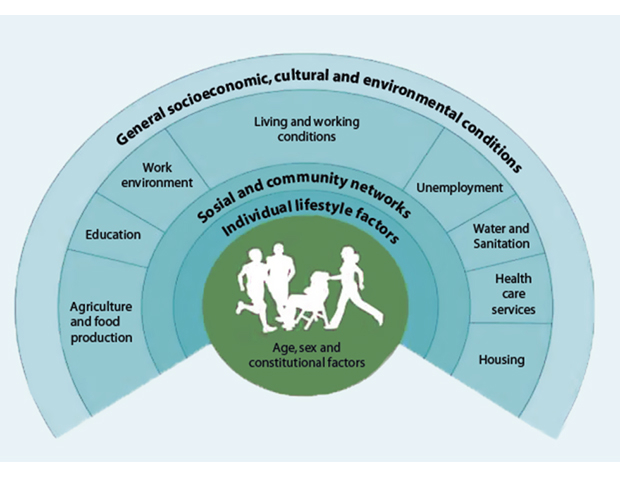 Figure 4.1 Determinants of health1
