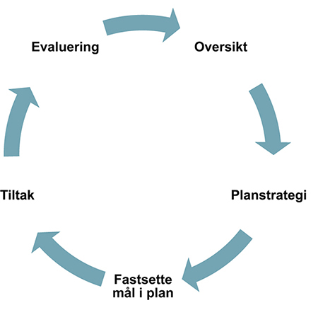 Figur 7.2 Fasene i folkehelsearbeidet