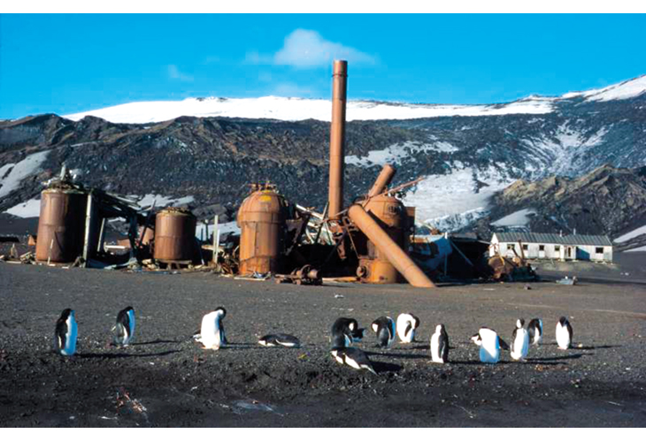 Figur 7.5 Kvalfangstanlegget i Whalers bay. Deception Island er eit viktig norsk kulturminne. 
