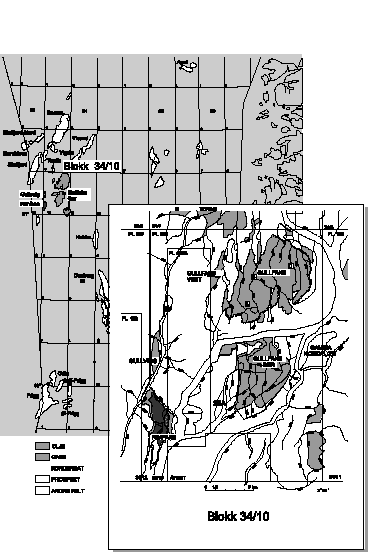 Figur 3.1 Funnlokalisering.