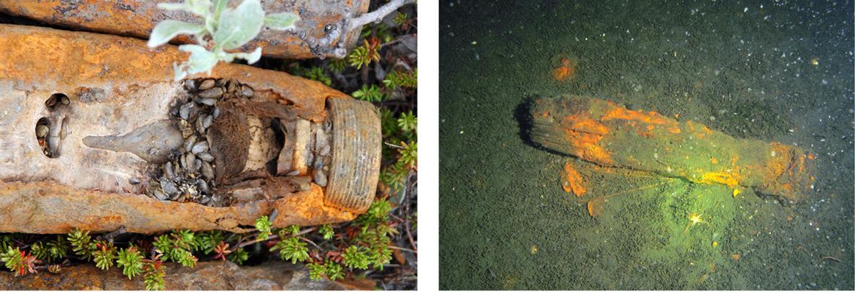 Foto til venstre viser en korrodert granatbøssing på havbunnen. Midt i granatbøssingen kan man se eksplosivene som små avlange kuler. På havbunnen rundt granatbøssingen vokser det flere grønne planter.
Foto til høyre viser korrodert hylse på havbunnen. Havbunnen er mørk. Hylsen er delvis opplyst av blitzen fra kamera.