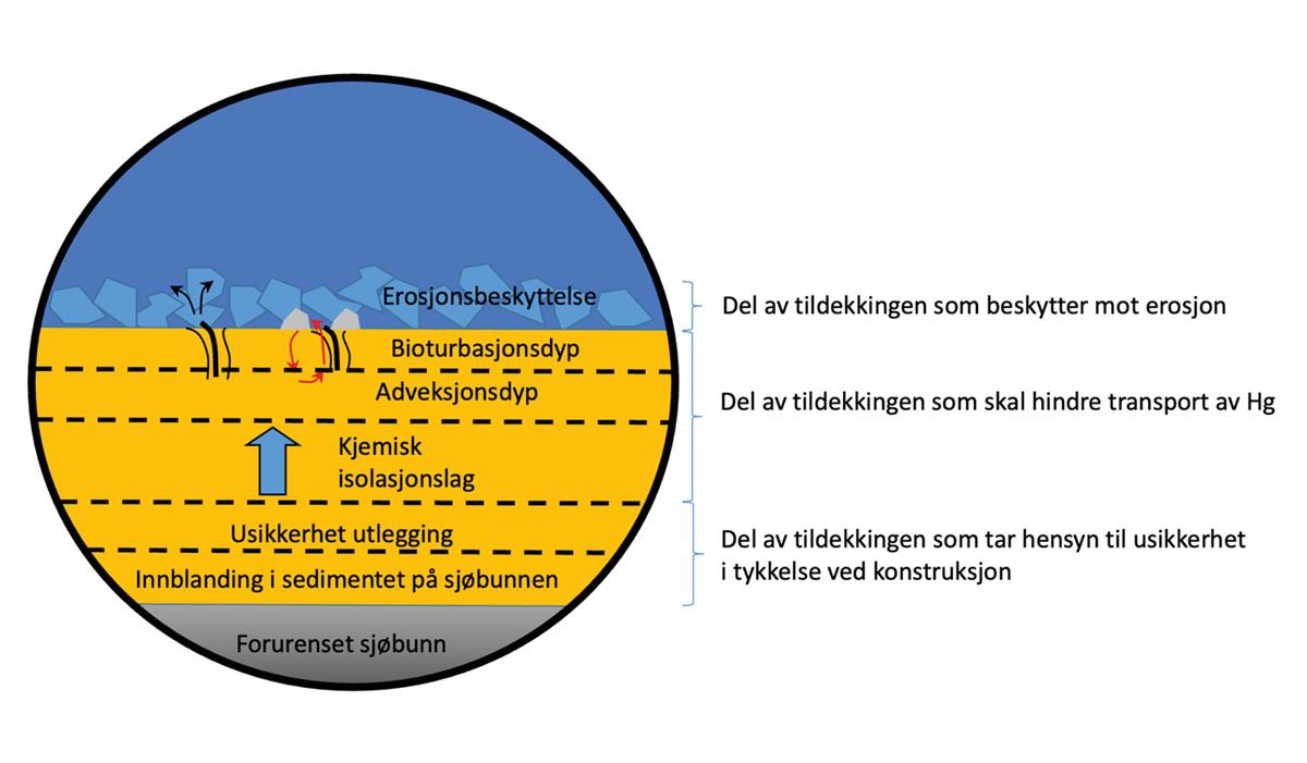 Illustrasjonen viser en sirkel med snitt av lagoppbygging for en tildekking. Nederst i sirkelen er det et grått lag som illustrerer den opprinnelige forurensede havbunnen. Over dette grå laget er det fem lag som er vist med gul farge. Hvert lag har en forklarende tekst. På det midterste laget er det plassert en blå pil som peker oppover. Over de gule lagene er det plassert et blått lag med klumpete sirkelformede elementer. Over dette igjen er det blå farge som illustrerer havet. Til høyre for sirkelen er det en forklaring av de ulike feltene.