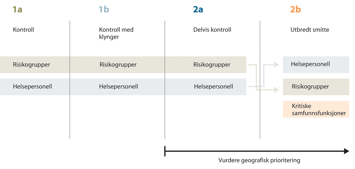 Figur 9.2 Figuren illustrerer ekspertgruppens forslag til dynamiske vaksineprioriteringer. Under de tre første scenarioene skulle risikogrupper og så helsepersonell få prioritet. Hvis Norge var i scenario 2b ved oppstarten av koronavaksinasjonsprogrammet, skul...