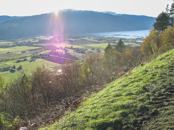 Rydding opnar utsikta til kulturlandskap i Sunndal.