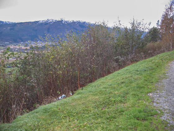 Kratt stenger utsikta til kulturlandskap i Sunndal. 