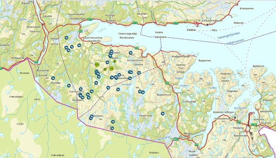 I dette området i Nesseby og Sør-Varanger er 99 rein drept av jerv i vinter.