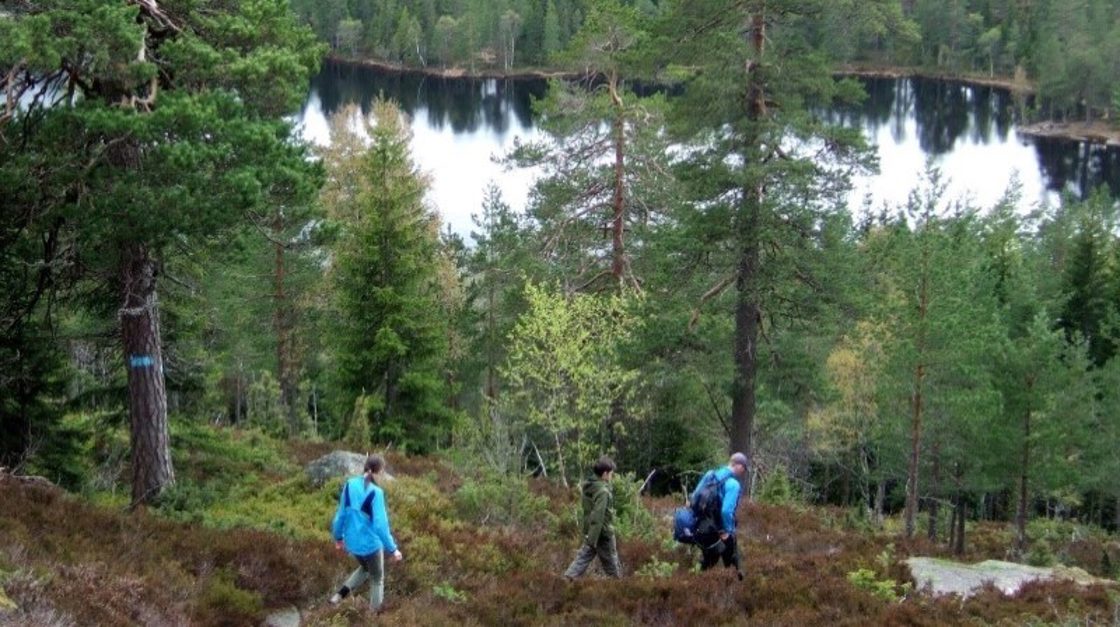 kobberhaugvannet i Nordmarka