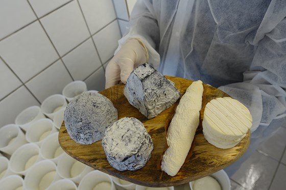 Fem til seks nye oster er under utarbeidelse. Hvor mange som får delta på Oste-VM, vet Bo Jensen først til høsten.