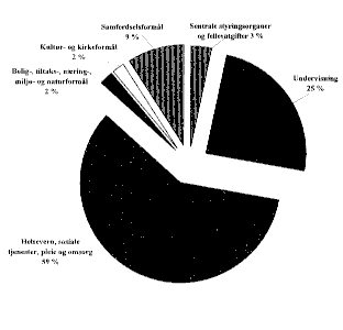 Figur 4.3 Fordeling av driftsutgifter på hovedkapittel. Fylkeskommunene. 1995.
