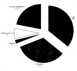 Figur 5.9 Utførte årsverk av ulike yrkesgrupper i kommunehelsetjenesten. Prosent. 1995.