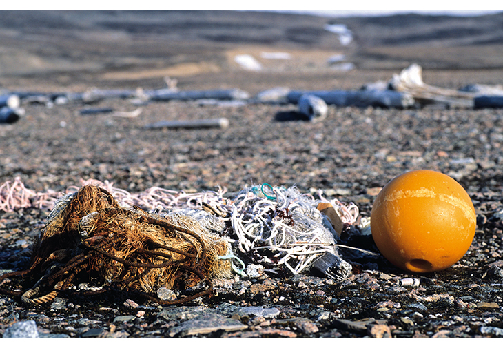 Figure 2.2 Beach litter in Svalbard.
