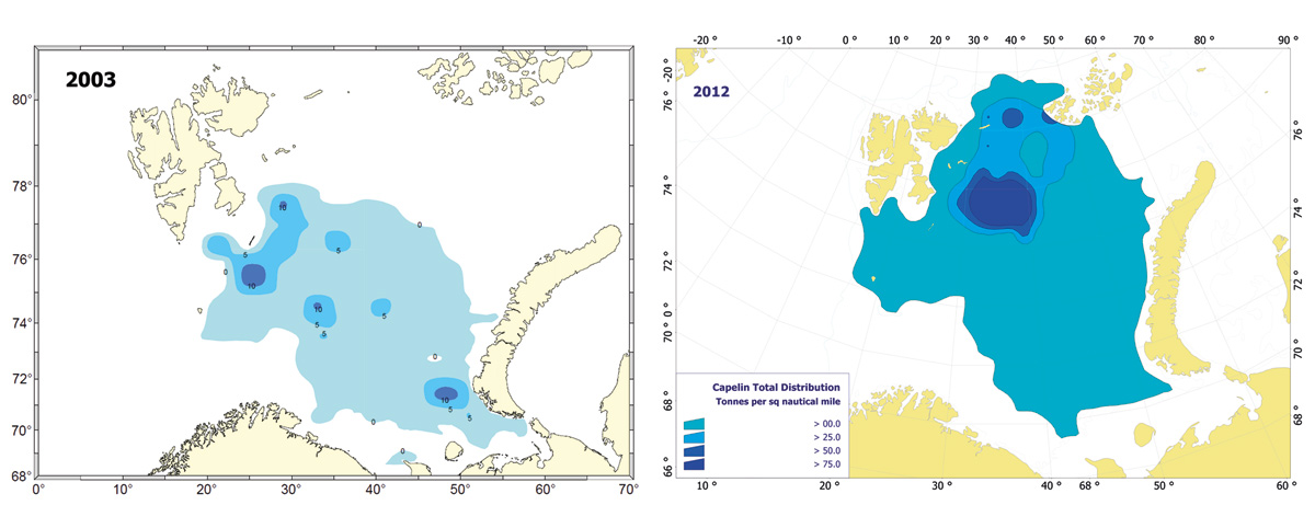 Figure 3.2 Changes in the distribution of capelin on feeding grounds in summer; the range has expanded and shifted from the central to the northeastern part of the Barents Sea. Distribution of capelin in 2003 (left) and 2012 (right).
