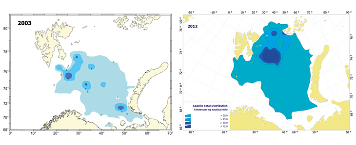 Figur 3.2 Forflytning av lodde på sommerbeite fra sentrale til nordøstlige Barentshavet. Fordeling av lodde i 2003 (venstre) og i 2012 (høyre).
