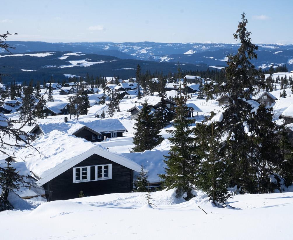 Hytter i vinterlandskap med åpen skog. Foto: Bjørn Casper Horgen