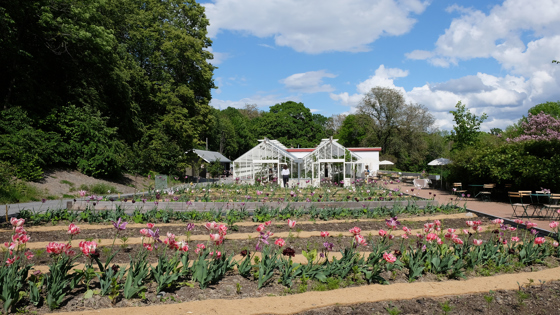 Gartneriet på Bygdø Kongsgård