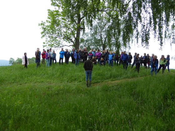 Deltakerne på Halvdanshaugen på Steinssletta.