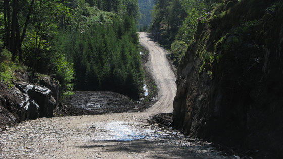 Skogsbilvei Vallehei Vest-Agder.