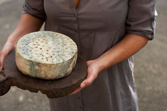 Aldri før har så mange oster og osteprodusenter vært påmeldt til World Cheese Awards. Norge stiller med 175 oster fra 58 ysterier.