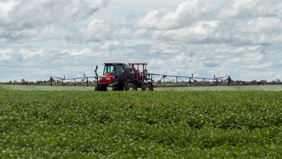 Industriell soyaproduksjon i Brasil