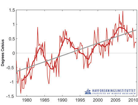 Figure 3.5 Temperature anomaly in the core of the Atlantic water flowing into the Barents Sea in the period 1977–2010. The figure shows measured values (thin red line), the 3-year moving average (thick red line), the linear trend for the whole period (bold grey...