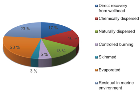 Figure 5.8 Oil budget for the Mexico Gulf accident