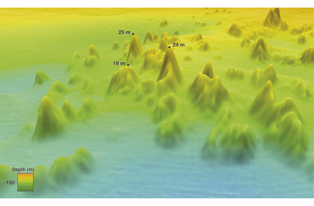 Figure 6.1 3D map showing a group of coral reefs in the Hola area off the Vesterålen Islands. The numbers indicate the height of some of the reefs.