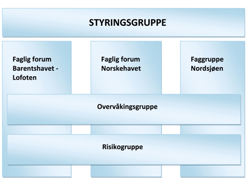 Figur 2.3 Styringsstruktur for arbeidet med forvaltningsplanene