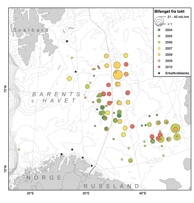 Figur 3.19 Bifangster av snøkrabbe gjort av fiskefartøyer (sort stjerne) og på Havforskningsinstituttets tokt (sirkler) i tidsrommet 2004 – 2010. Størrelsen på sirklene angir relativ antall krabber tatt i de enkelte posisjonene