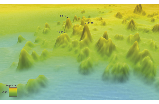 Figur 6.1 3D-kart som viser gruppe av koraller i Hola-området utenfor Vesterålen. Tallene viser høyden på «korallfjellene»