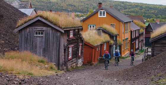 Bildet viser tre syklister som sykler gjennom gruvebyen Røros.