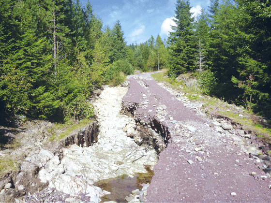 Figur 3.5 Erosjon på skogsveg.
