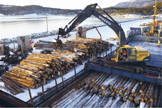 Figur 4.1 Tømmertransport, Stjørdal havn. 
