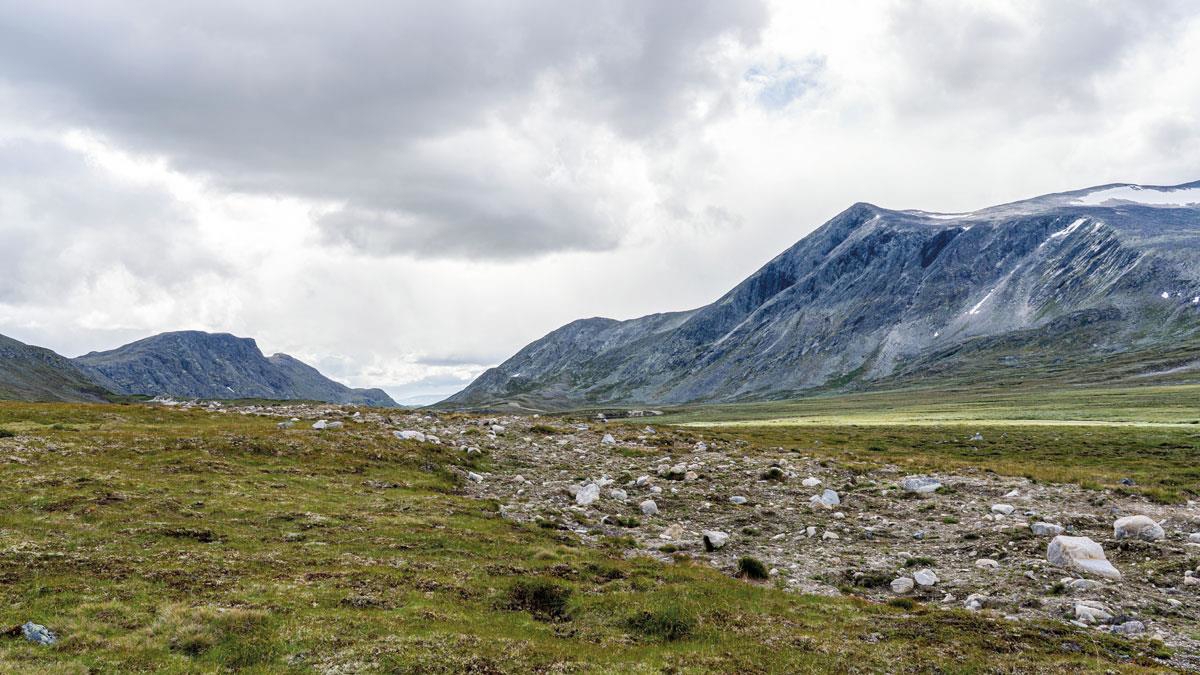 Foto: Karina GJerde, Norsk villreinsenter