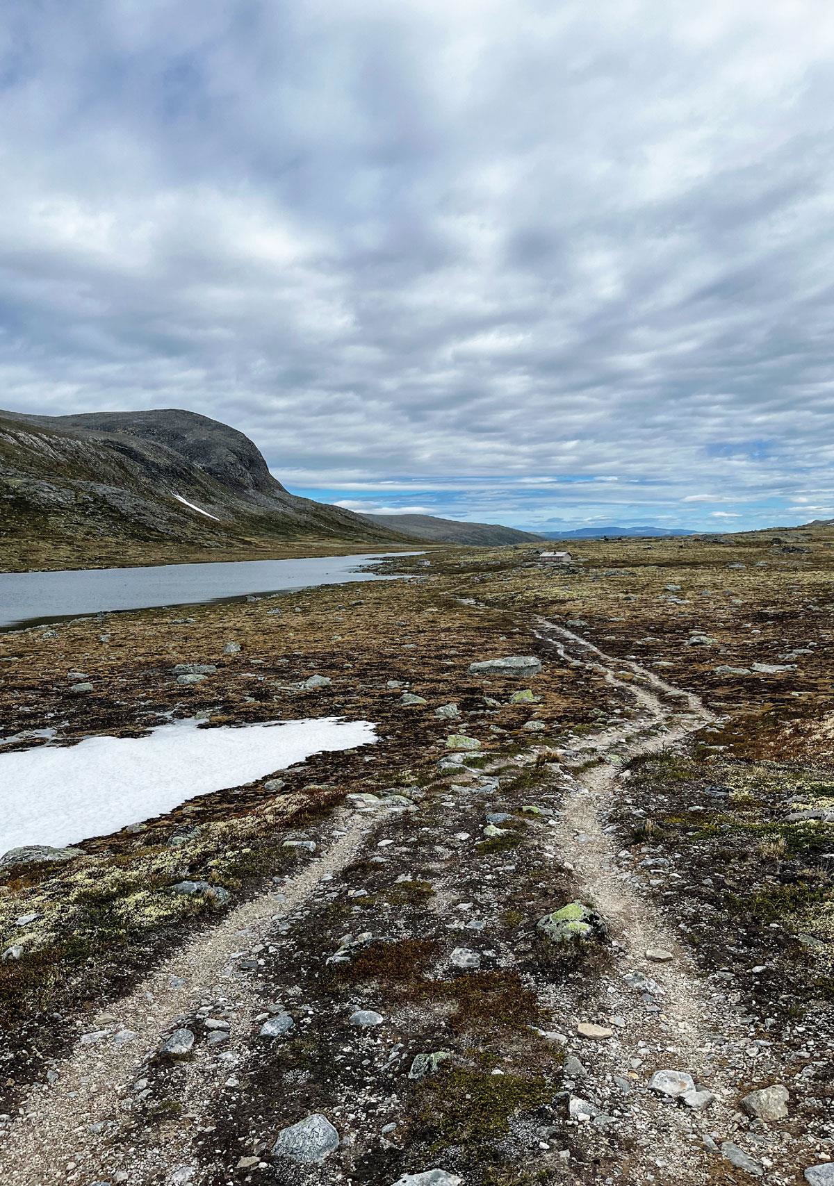 Foto: Ingrid Sønsterud Myren, Norsk villreinsenter