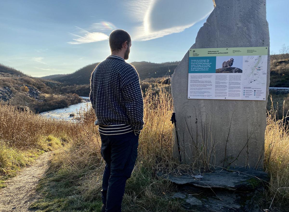 Foto: Martine Hårstad, Norsk villreinsenter