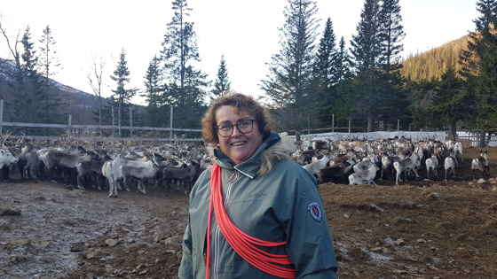 Landbruks- og matminister Olaug Bollestad besøker Byrkije reinbeitedistrikt, Børgefjell.