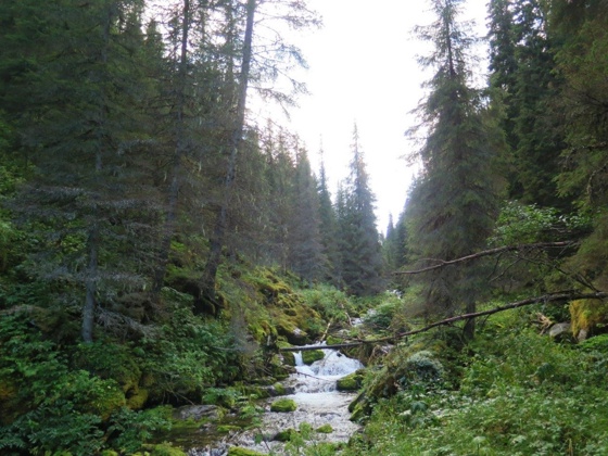 Lekjenndalen naturreservat