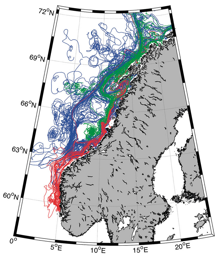 Figure 3.16 Transport of herring larvae with the currents from spawning grounds off Møre og Romsdal (blue) and more southerly (red) and northerly (green) areas in 2006.