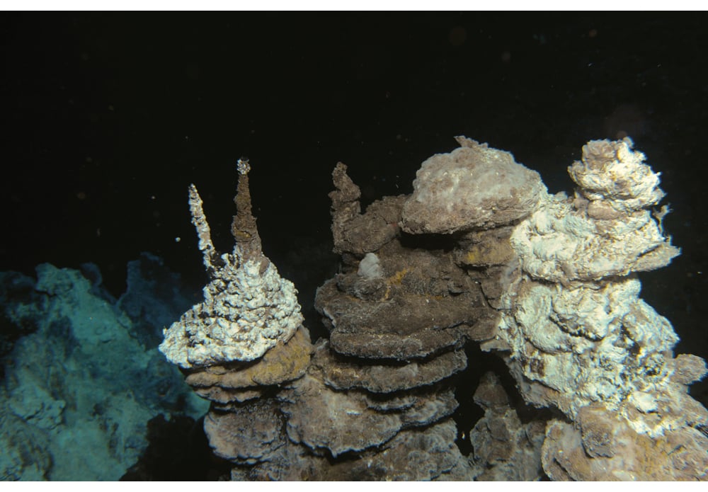 Figur 3.8 Utfelling av metallrike sulfidmineraler rundt varme kilder har bygget opp disse «skorsteinene» («black smokers») på midthavsryggen mellom Jan Mayen og Bjørnøya i Norskehavet.
