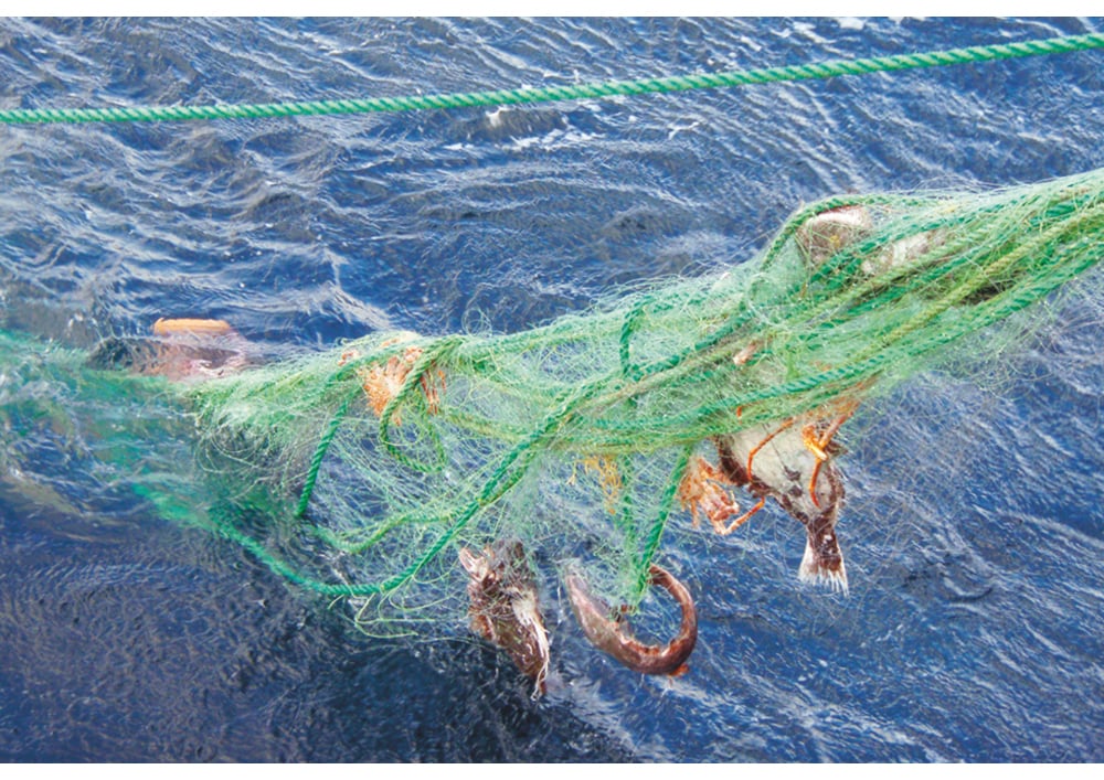 Figur 4.2 Tapte fiskeredskaper hales opp under opprydningstokt.
