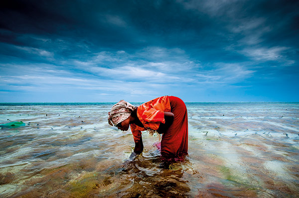 Figure 4.1 Tanzania. This lady was able to buy the poles and the ropes she uses to grow seaweed in the sea with the help of a microfinance loan. The seaweed is sold to a factory that exports it to Japan.